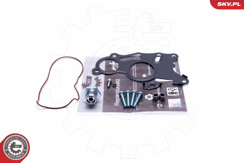 Repair Set, vacuum pump (braking system)